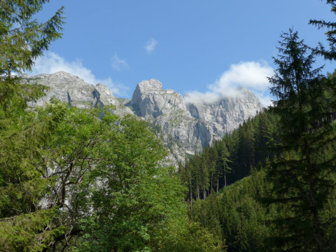 Ebenstein 1