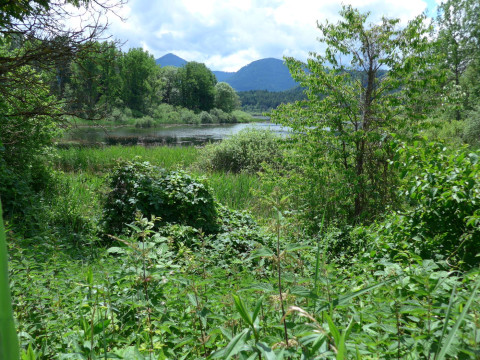 Kaernten 3