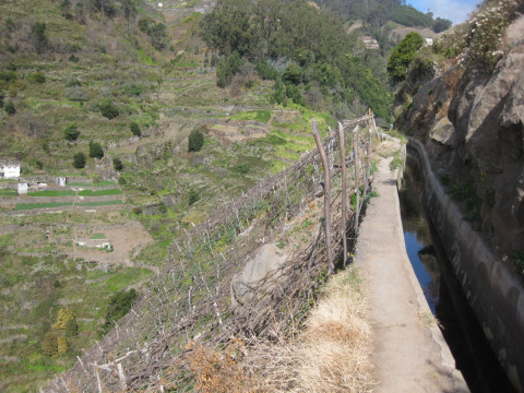 Madeira abenteuerliche Levanda